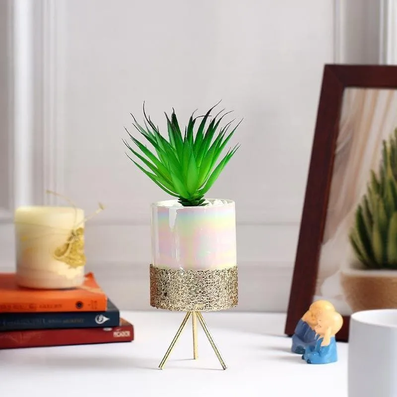 Faux Tequilana In Ceramic Pot With Tripod - 23 cms media 1