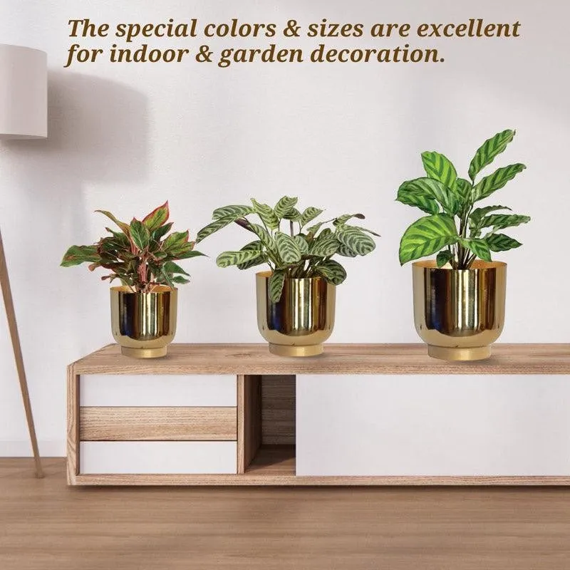 Nishma Golden Planter - Set Of Three media 5
