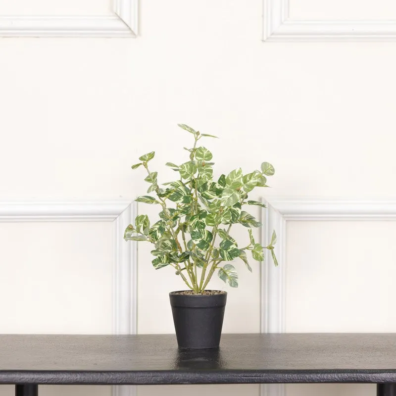 Artificial Pothos Plant With Black Fiber Pot (White) - 1 Feet media 3