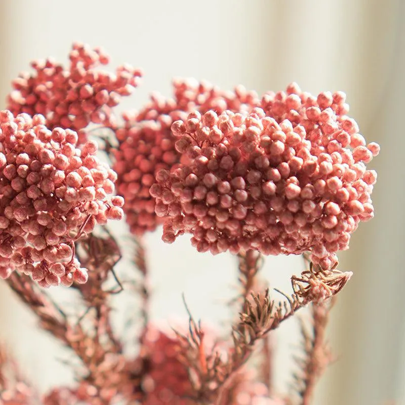 Artificial Rice Flower Stem (Pink) - Set Of Three media 5