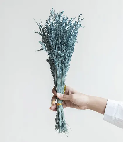 Dried Flowers & Leaves