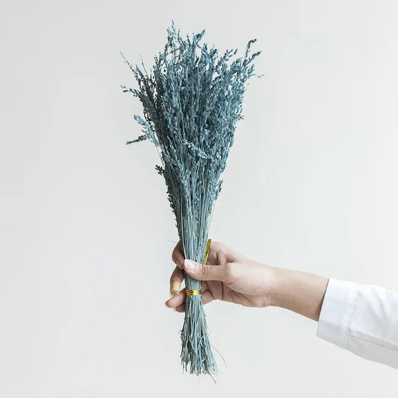 Botanibare Dried Grass media 1