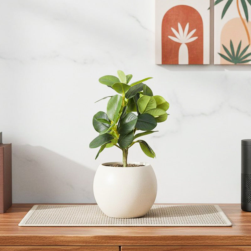 Artificial Green Natural Lookingquercus Leaf Plant With Black Fiber Pot - 1.2 Feet
