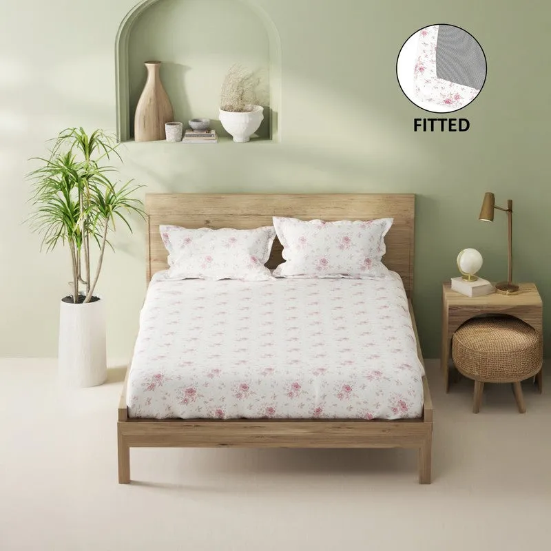 Novira Fitted Cotton Bedsheet (Red) - 144 TC media 3
