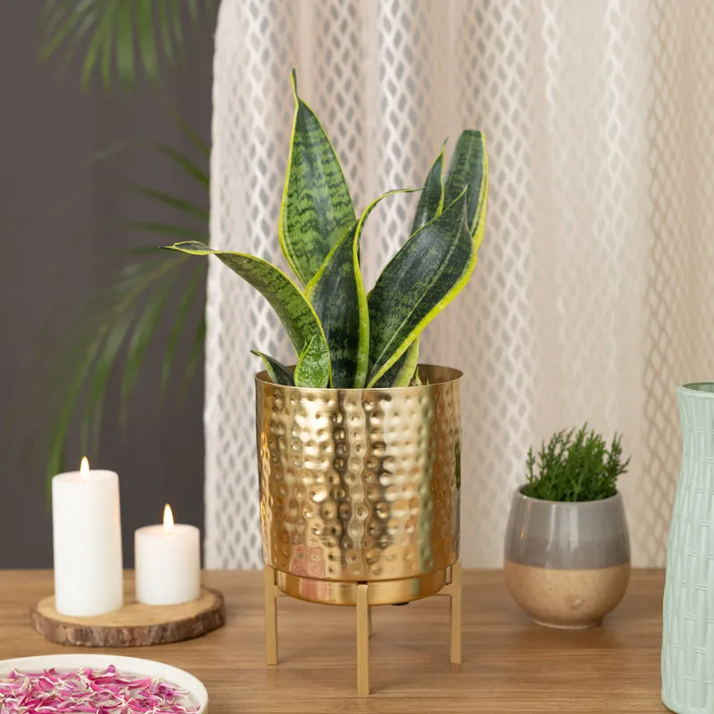 Vida Ember Golden Planter with Stand media 6
