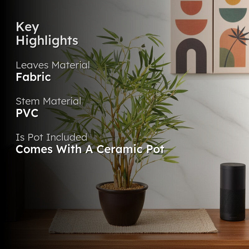 Artificial Bamboo Bonsai Plant With Ceramic Pot (White) - 1.6 Feet media 2