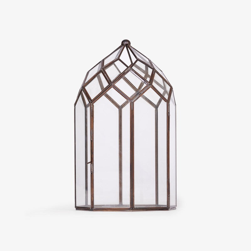 Orange Tree June Lantern media 8