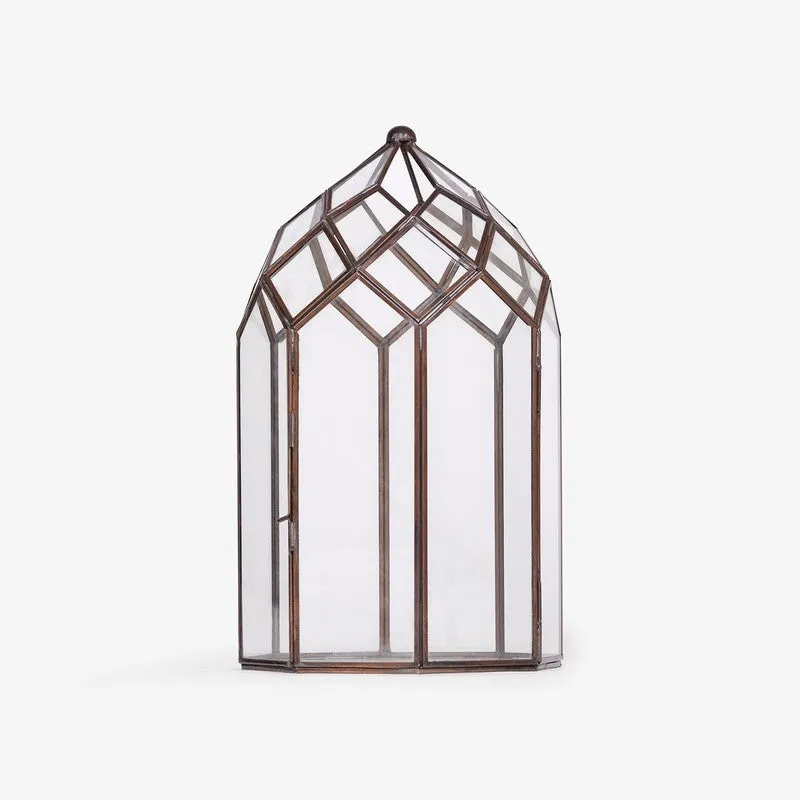 Orange Tree June Lantern media 8