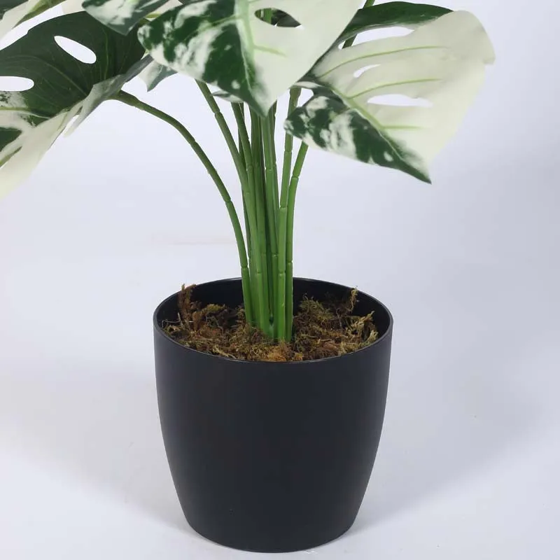 Faux Lush White Monstera Plant With Black Plastic Pot - 1.8 Feet media 6