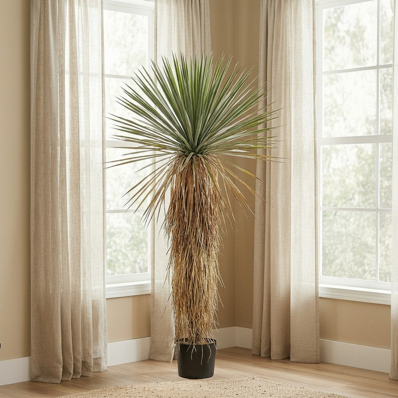 Sylvo Artificial Yucca Thompsonia Plant With Black Plastic Pot - 5.2 ft media 3