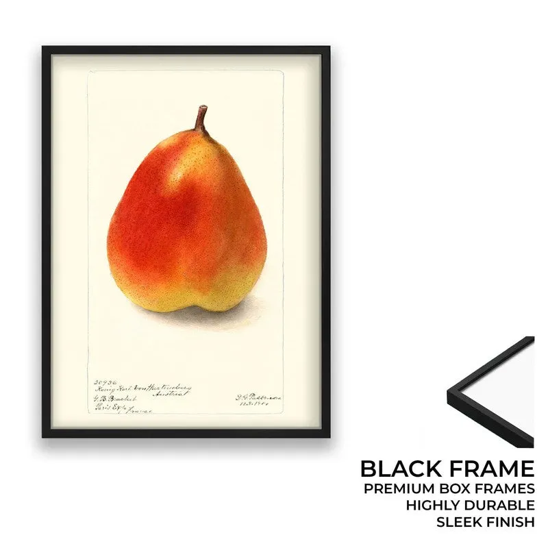 FruitPunch Archival Canvas Wall Art - Black media 8