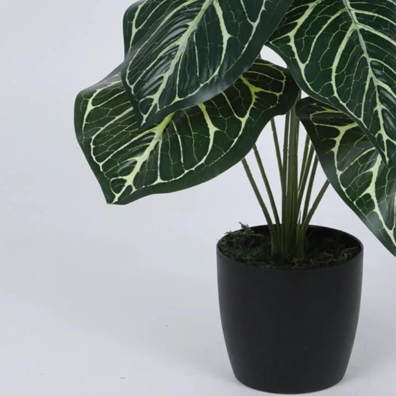 RealTouch Artificial Foliage Plant With Black Fiber Pot - 0.6 Feet media 6