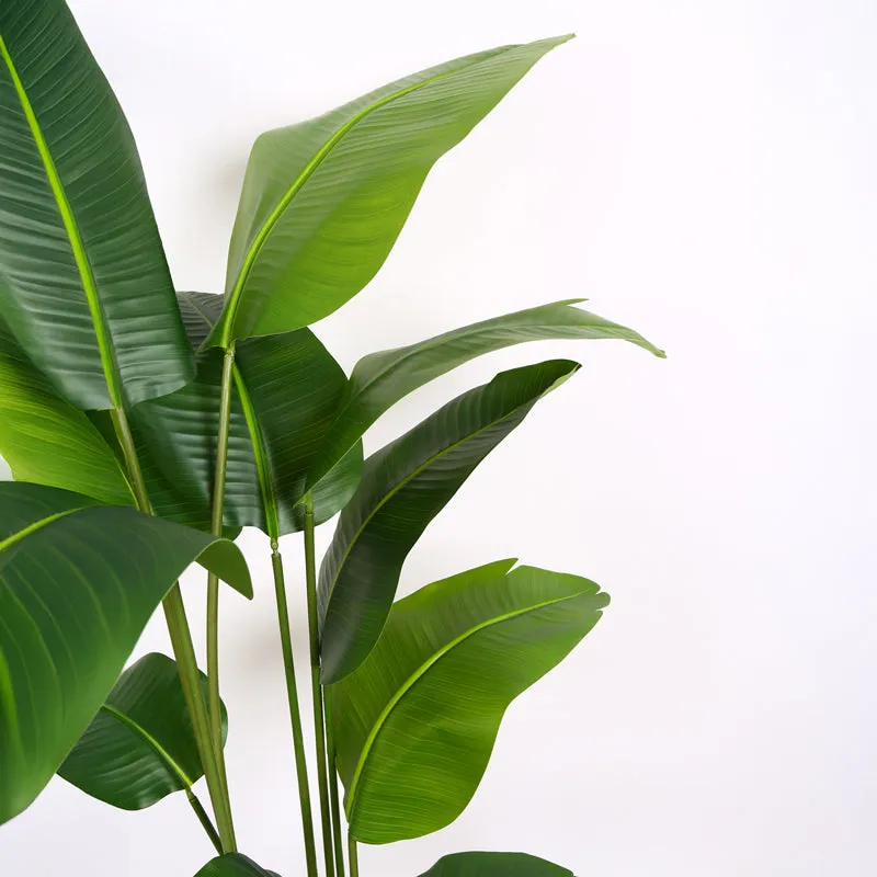 Verdiq Artificial Banana Plant With Black Plastic Pot - 6 Feet media 5