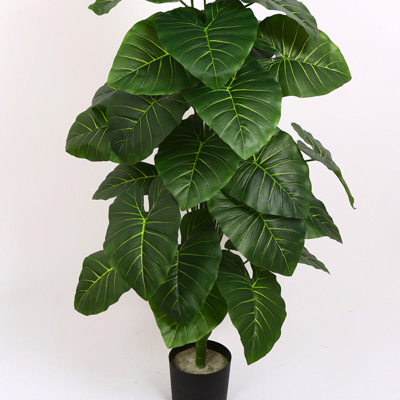 Verdiq Artificial Alocasia With Black Plastic Pot - 4 Feet media 4