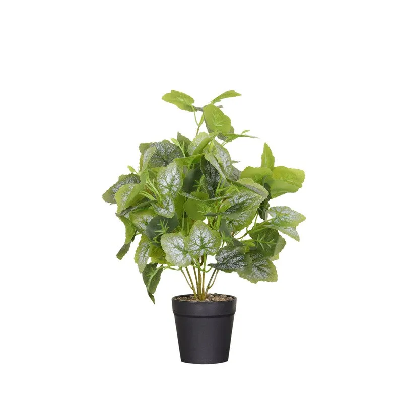 Artificial Frosted Grape Ivy Leaf Plant With Black Fiber Pot - 1 Feet media 4