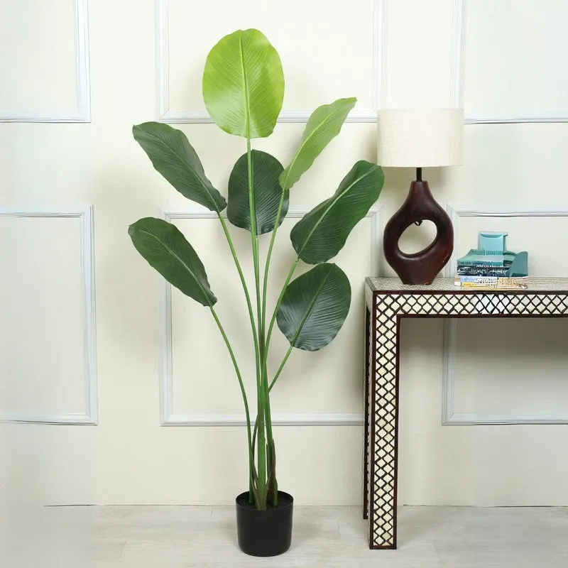 Artificial Calathea Plant With Black Fiber Pot - 4.8 Feet media 3
