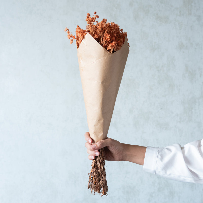 Gypso Glam Dried Flower Bunch - Honey