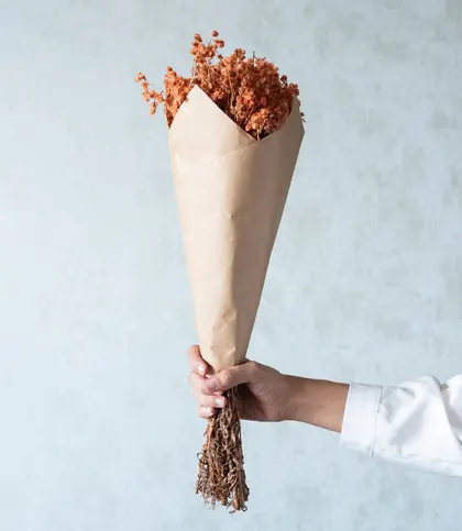 Dried Flowers & Leaves