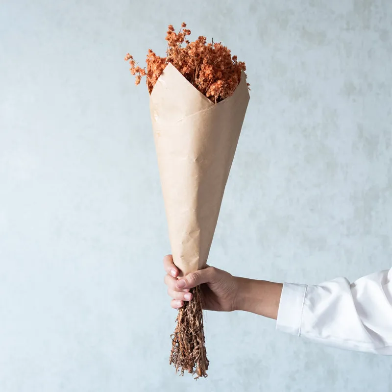Gypso Glam Dried Flower Bunch - Honey media 1