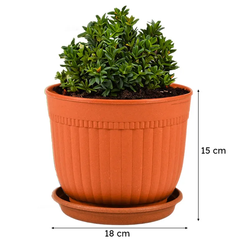 Vita Vessel Planter - Set Of Six media 9