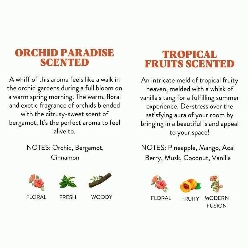 Inaayat - Set of 2 Scented Votive Candles (Orchid Paradise & Tropical Fruits Scented) media 7