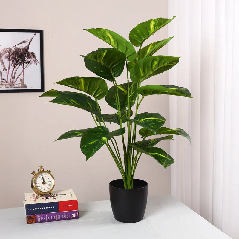 Verdura Artificial Pothos Plant With Black Plastic Pot - 2 Feet media 3