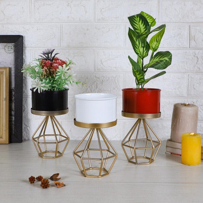 Diamond Ring Planter - Set Of Three media 3