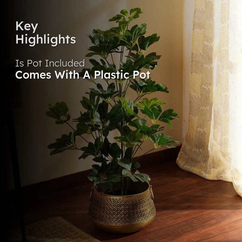 Artificial Realistic Schefflera Plant With Black Plastic Pot - 3 Feet media 2