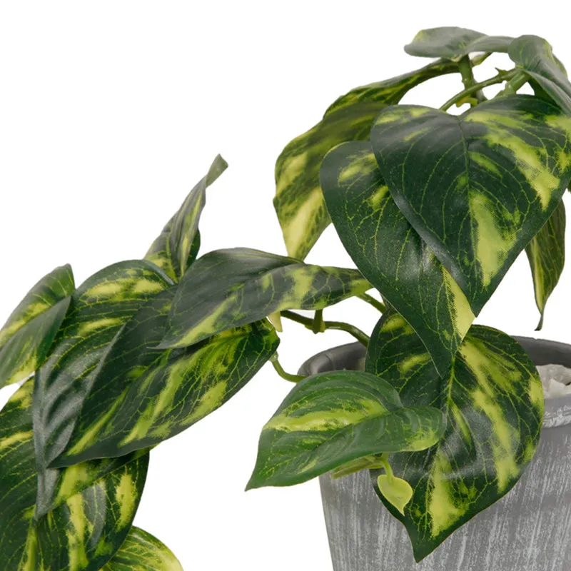 Mahlo Artificial Pothos Plant With Black Plastic Pot media 4