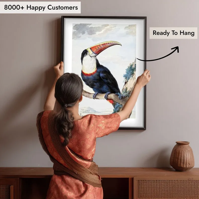 Red Billed Toucan Aert Schouman Archival Canvas Wall Painting - Black Frame media 6