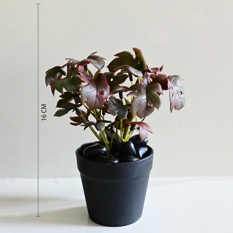 Minstera Artificial Mini Monstera Plant With Black Plastic Pot (Purple) - 16 cm media 6