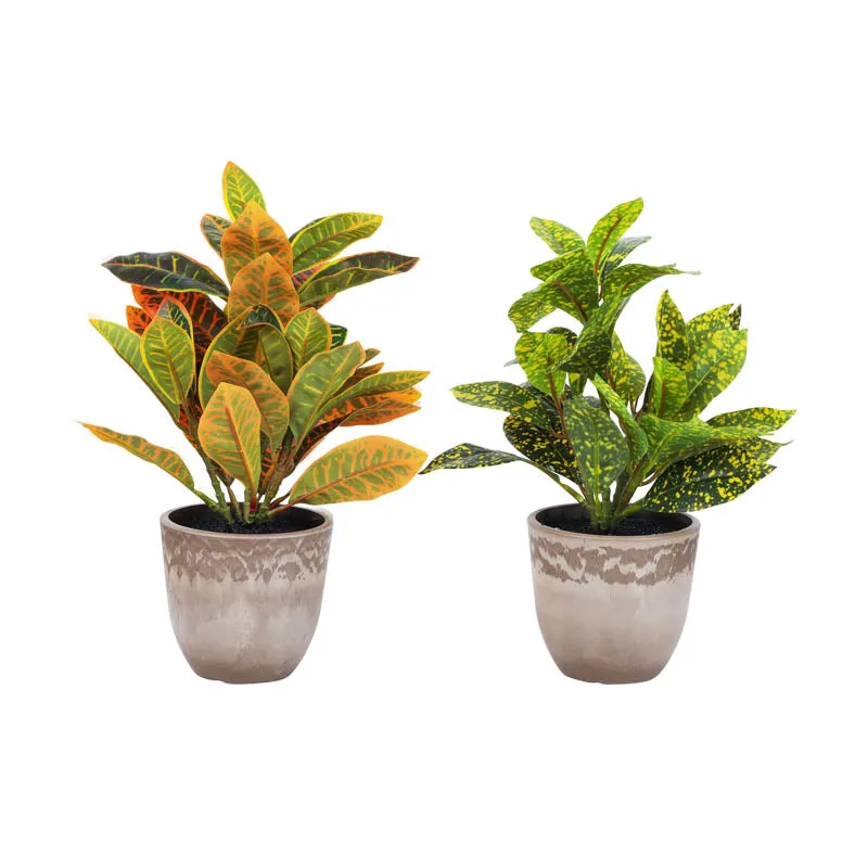 Artificial Croton Plant With Black Plastic Pot (Set Of Two) - 1 Feet media 7