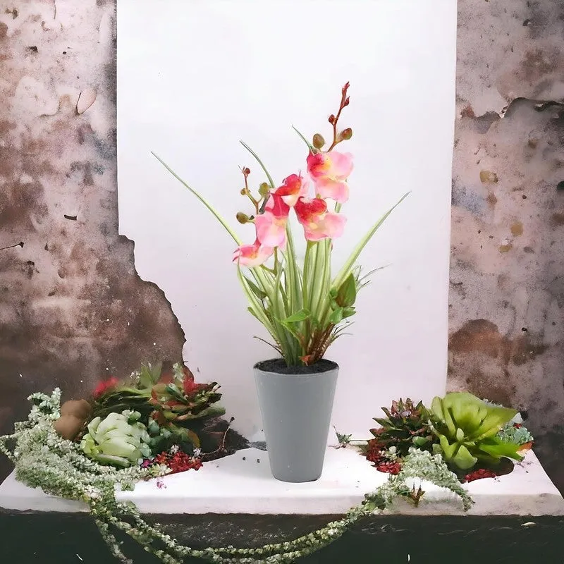 Artificial Bonsai Flower Plant with Ceramic Pot - 0.8 Feet (Pink) media 4