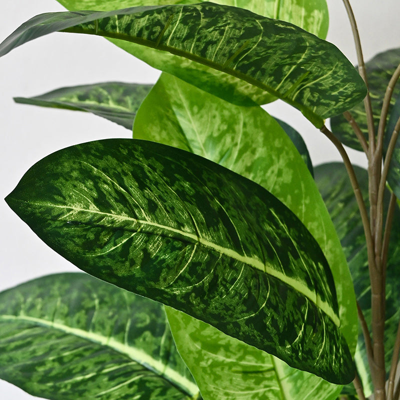 Faux Fiddle Fig Plant With Black Plastic Pot - 79 cm (2.6 ft) media 7
