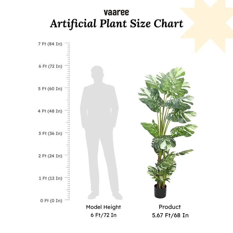 Greenius Artificial Monstera With Black Plastic Pot - 5.6 Feet media 7