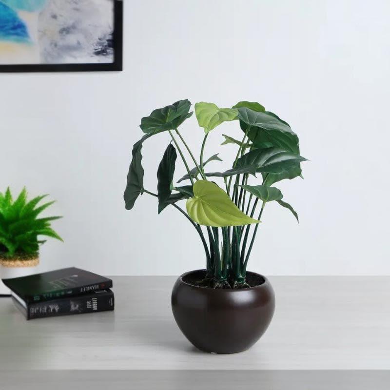 Faux Alocasia Bonsai In Bowl Pot - 37 cms media 2
