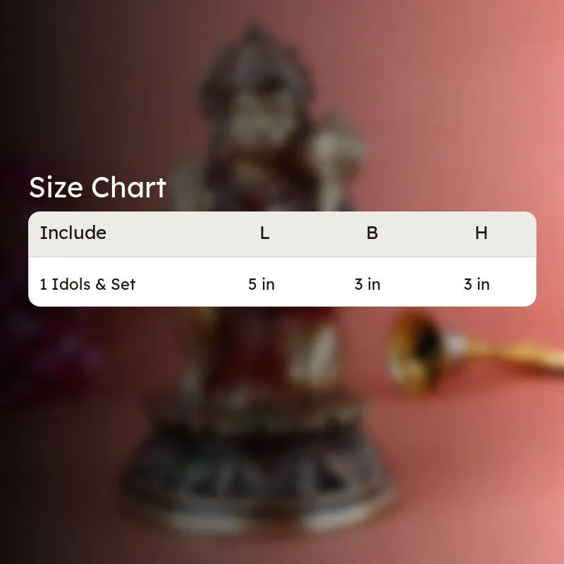 Najarangbali Hanuman Brass Idol media 5
