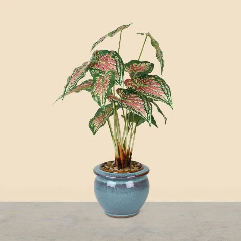 Faux Caladium Bonsai In Ceramic Pot (59 cms) - Turquoise media 1