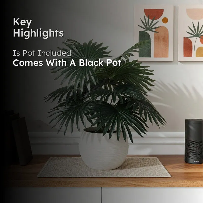 Faux Mini Palm Plant With Black Plastic Pot - 55 cms media 2