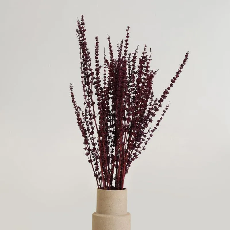 Plato Millet Grass Dried Palm Grass Bunch - Red media 1
