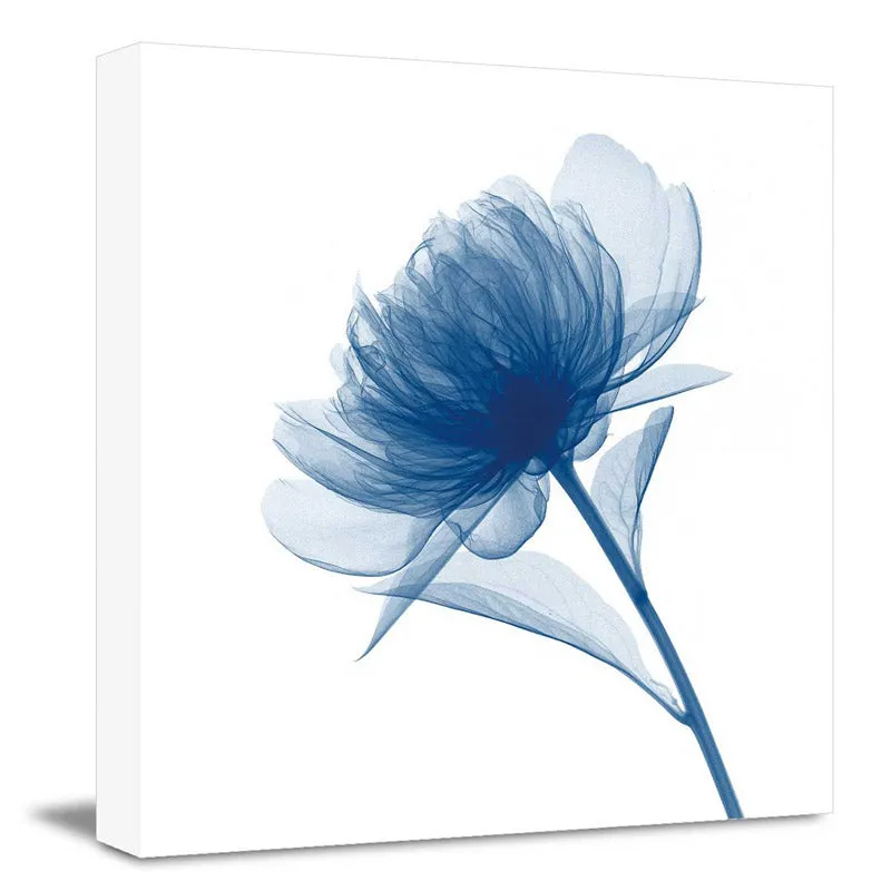 Flowers Floral Wall Art media 3