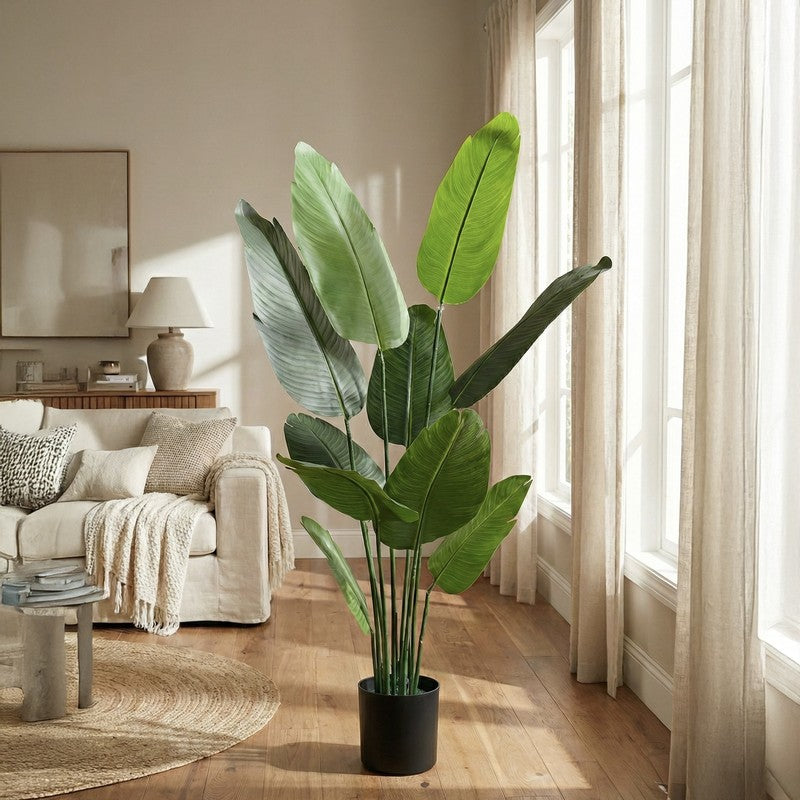 Tropiva Banana Leaf Palm Plant With Black Plastic Pot - 5.2 ft media 2
