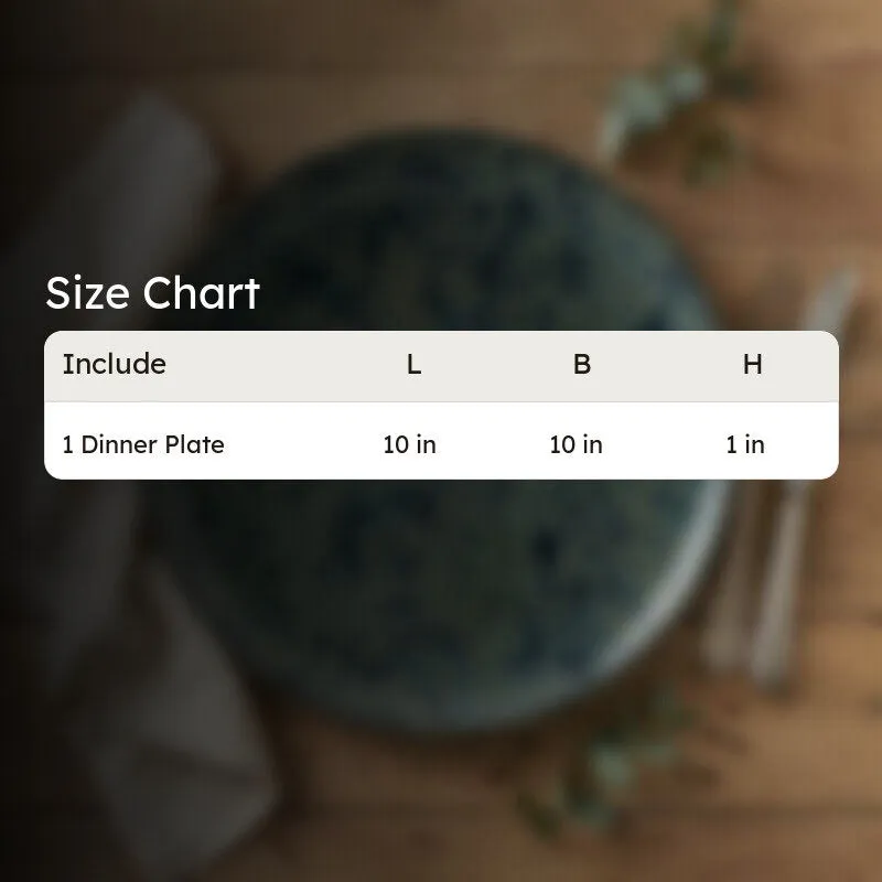 TableForm Ceramic Dinner Plate media 9