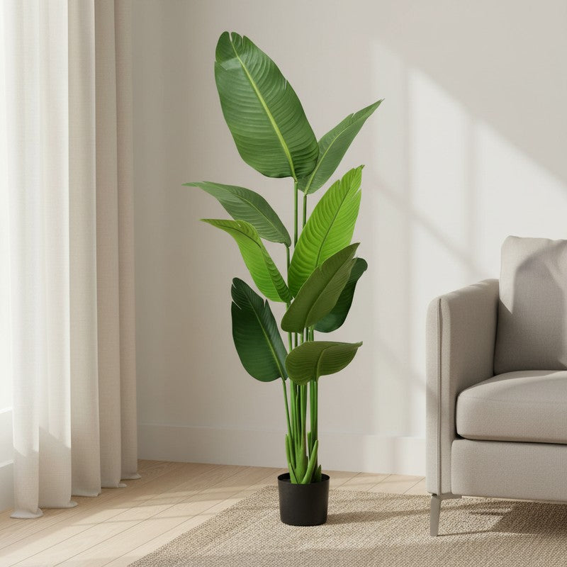Floris Artificial Banana Plant With Black Plastic Pot - 5.1 Feet media 3
