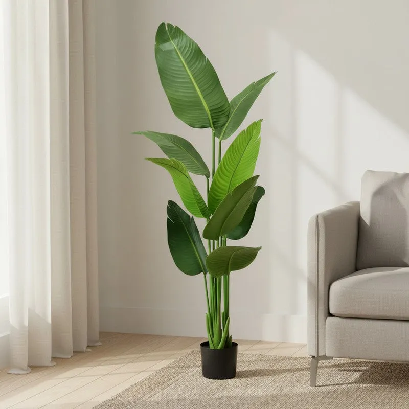 Floris Artificial Banana Plant With Black Plastic Pot - 5.1 Feet media 3