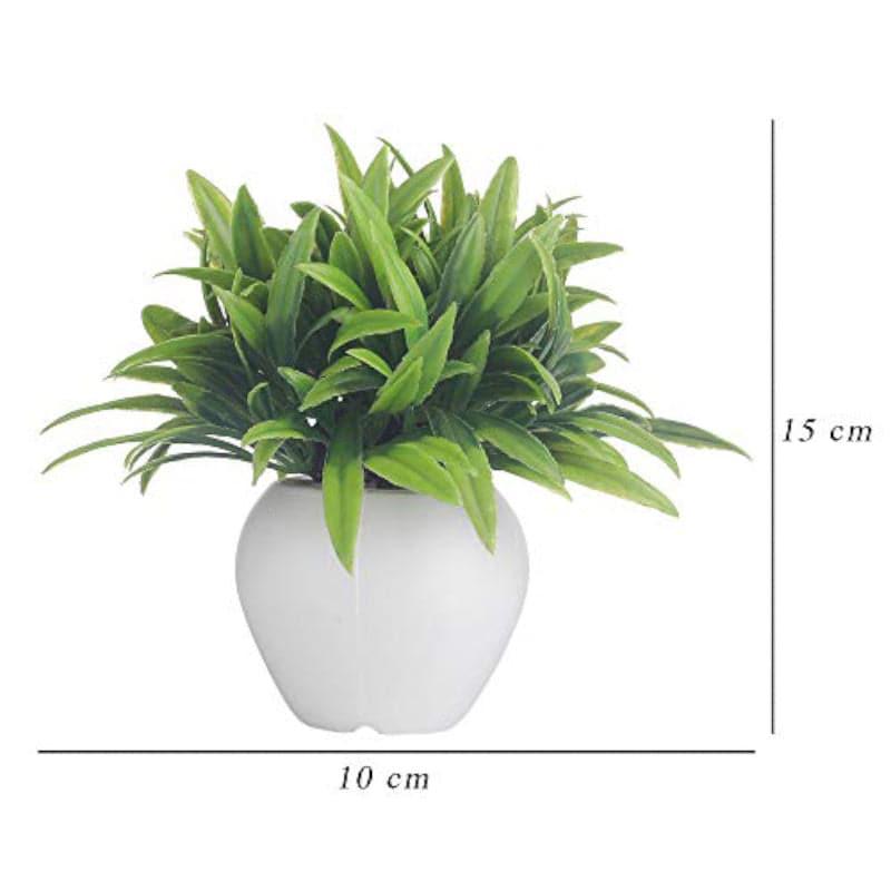 Veveri Faux Plant In Apple Pot - 15 cms media 5