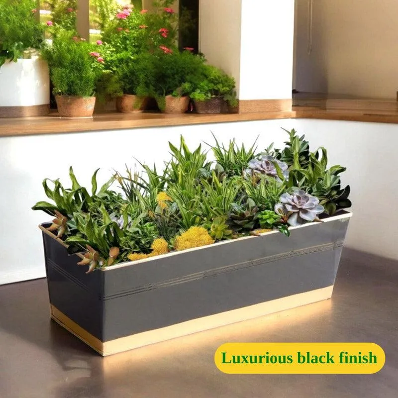 Zutoia Black Planter - Black media 4