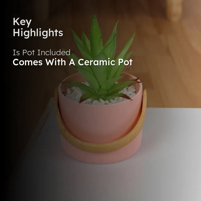 Faux Succulent In Bucket Pot (16.5 cms) - Pink media 2