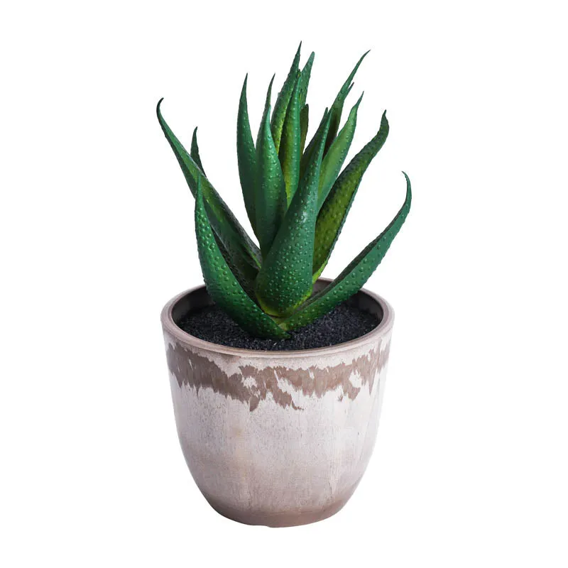 Artificial Mini Succulent With Black Plastic Pot (Set Of Four) media 4