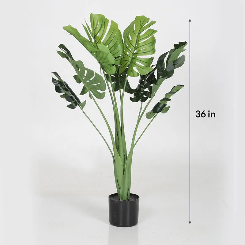 Faux Monstera Delicosa Plant With Black Plastic Pot - 2.9 Feet media 5